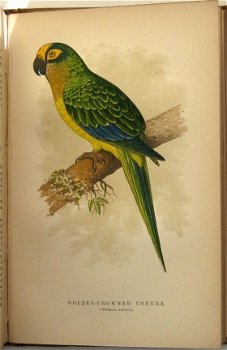 The Speaking Parrots [1884] Karl Russ Zeldzame bandtekening - 4