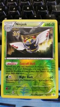Ninjask 11/124 (reverse foil) BW Dragons Exalted - 1