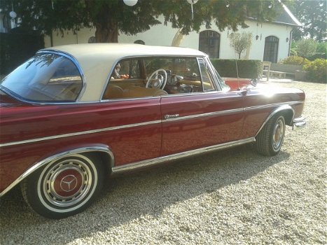 fraaie trouw auto huren: Mercedes 220seb coupe 1962 oldtimer - 7