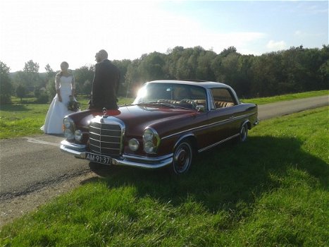 fraaie trouw auto huren: Mercedes 220seb coupe 1962 oldtimer - 8