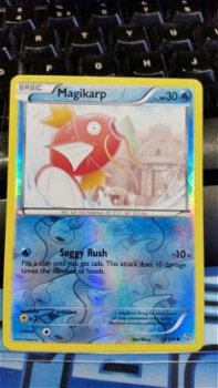 Magikarp 23/124 (reverse foil) BW Dragons Exalted nearmint - 1