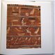 Egyptian Paintings of the Middle Kingdom HC Terrace Egypte - 2 - Thumbnail