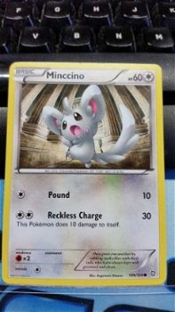 Minccino 109/124 BW Dragons Exalted - 1