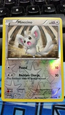 Minccino  109/124 (reverse foil) BW Dragons Exalted