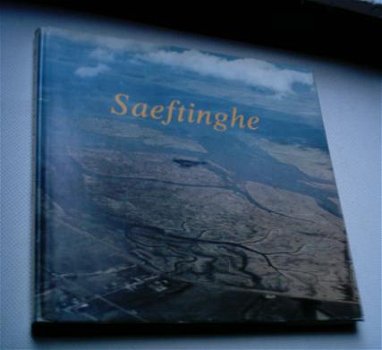 Het Verdronken Land van Saeftinghe. - 1