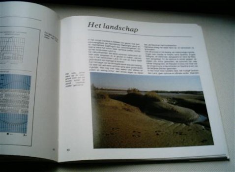 Het Verdronken Land van Saeftinghe. - 3
