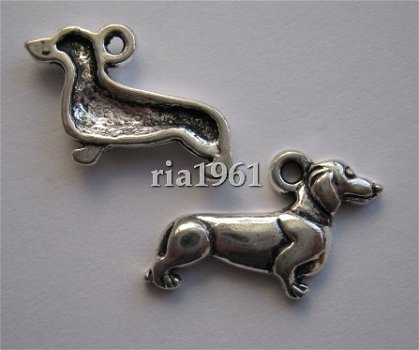 bedeltje/charm dieren : tekkel 5 - 23x12 mm - 1