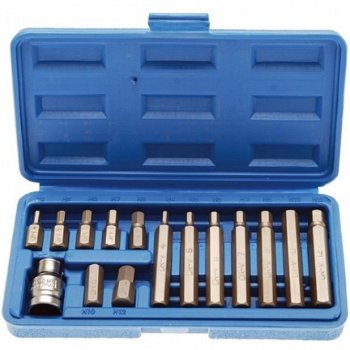 Inbus Bit Set (Binnen 6 Kant), 15 Delig - 1