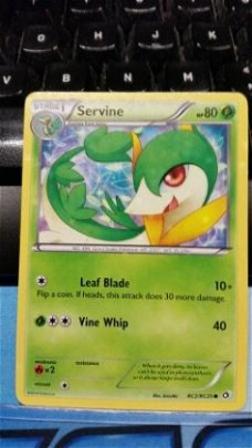 Servine RC2/RC25 BW Legendary Treasures