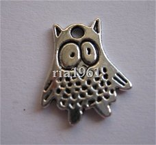 bedeltje/charm vogels : uiltje 19 - 15x12 mm