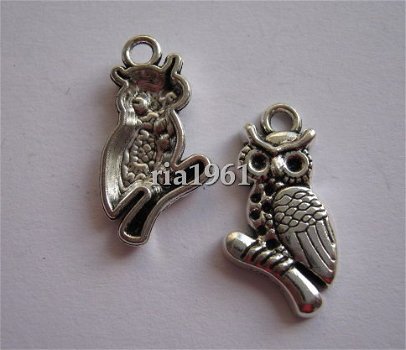 bedeltje/charm vogels : uiltje 20 - 20x10 mm - 1