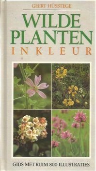 Geert Hüsstege; Wilde Planten in Kleur - 1
