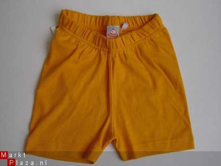 Nieuw !! Beebies Tricot short maat 80 - 1