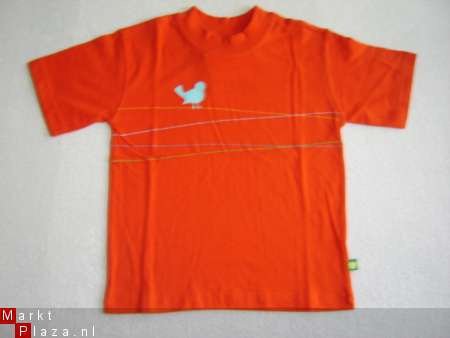 T-Shirt BIRD maat 128 oranje - 1