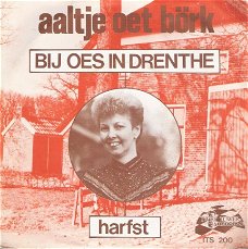Aaltje oet Börk -Bij Oes In Drenthe  - Harfst -  Ivory Tower   ITS 200 - Zeldzame Vinyl PIRAAT -45 t
