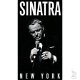 Frank Sinatra - New York Box ( 5 Discs , 4 CDs & 1 DVD) Nieuw/Gesealed - 1 - Thumbnail