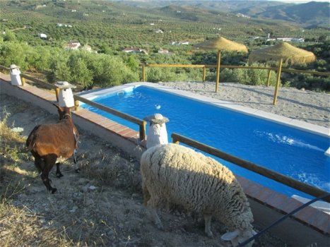 villa, vakantiehuisjes in andalusie, in de bergen - 3