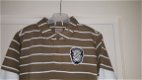 Pointer beige wit gestreept poloshirt maat 116 nieuw - 2 - Thumbnail