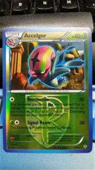 Accelgor 8/101 Rare (reverse) BW Plasma Blast - 1