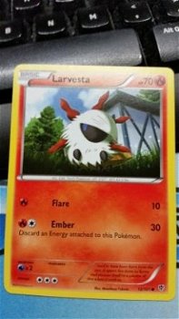 Larvesta 12/101 BW Plasma Blast - 1