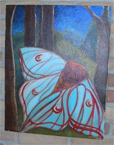 schilderij Vlinder