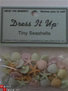 dress it up tiny seashells