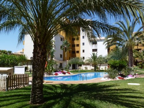 Overwinteren in leuke huizen aan de Costa Blanca - 6