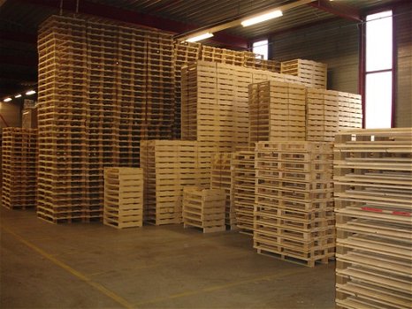 Palletplaza de webshop voor pallets, kisten en kratten, transport- & verpakkings middelen - 1