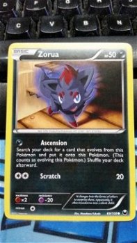 Zorua 69/108 BW Dark Explorers - 1