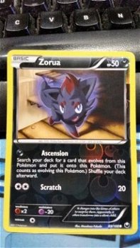 Zorua 69/108 (reverse) BW Dark Explorers - 1