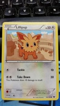 Lillipup 86/108 BW Dark Explorers - 1