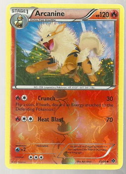 Arcanine 13/99 (reverse) BW Next Destinies - 1