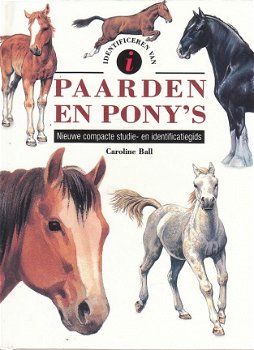 Paarden en pony's compacte identificatiegids - 1