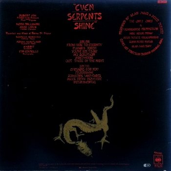 The Only Ones ‎– Even Serpents Shine - New Wave -1979- vinyl album UNPLAYED REVIEW COPY - 2