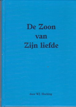 De zoon van zijn liefde door W.J. Hocking - 1