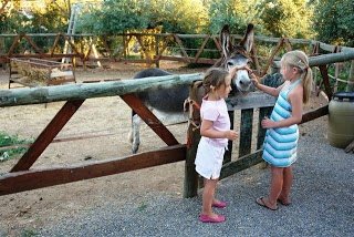 met kinderen naar Spanje andalusie op vakantie - 4