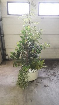mooie compleet kunstplanten in een bloembak 1,9 mtr hoog - 1