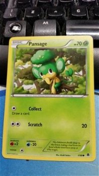 Pansage 1/98 BW Emerging Powers - 1