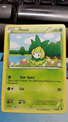 Petilil  13/98 BW Emerging Powers