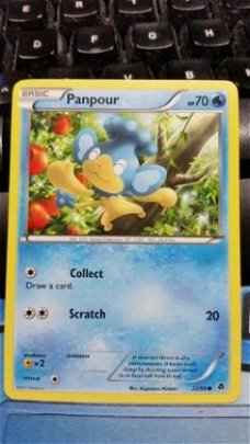 Panpour  22/98 BW Emerging Powers