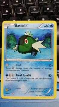 Basculin 24/98 BW Emerging Powers - 1