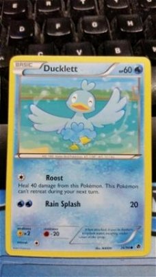 Ducklett  26/98 BW Emerging Powers