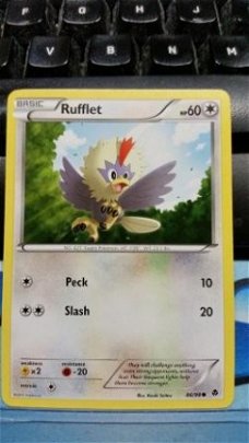 Rufflet 86/98 BW Emerging Powers