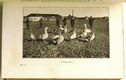 Russian Life To-Day 1915 Bury - Rusland - 3 - Thumbnail