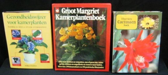 3 kamerplant boeken:gezondheid/cactussen/kamerplant,496 blz - 1