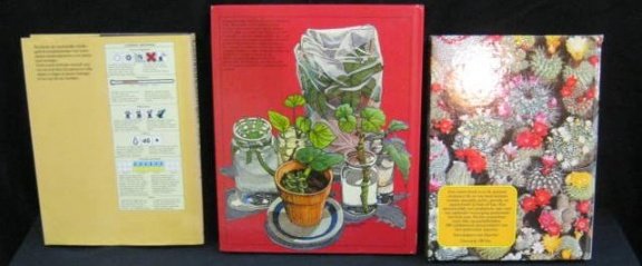 3 kamerplant boeken:gezondheid/cactussen/kamerplant,496 blz - 2