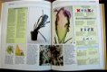 3 kamerplant boeken:gezondheid/cactussen/kamerplant,496 blz - 4 - Thumbnail