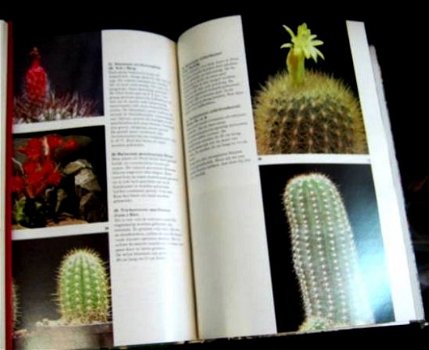 3 kamerplant boeken:gezondheid/cactussen/kamerplant,496 blz - 6