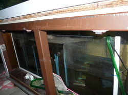 aquarium