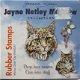 Joanna Sheen Cat - 1 - Thumbnail